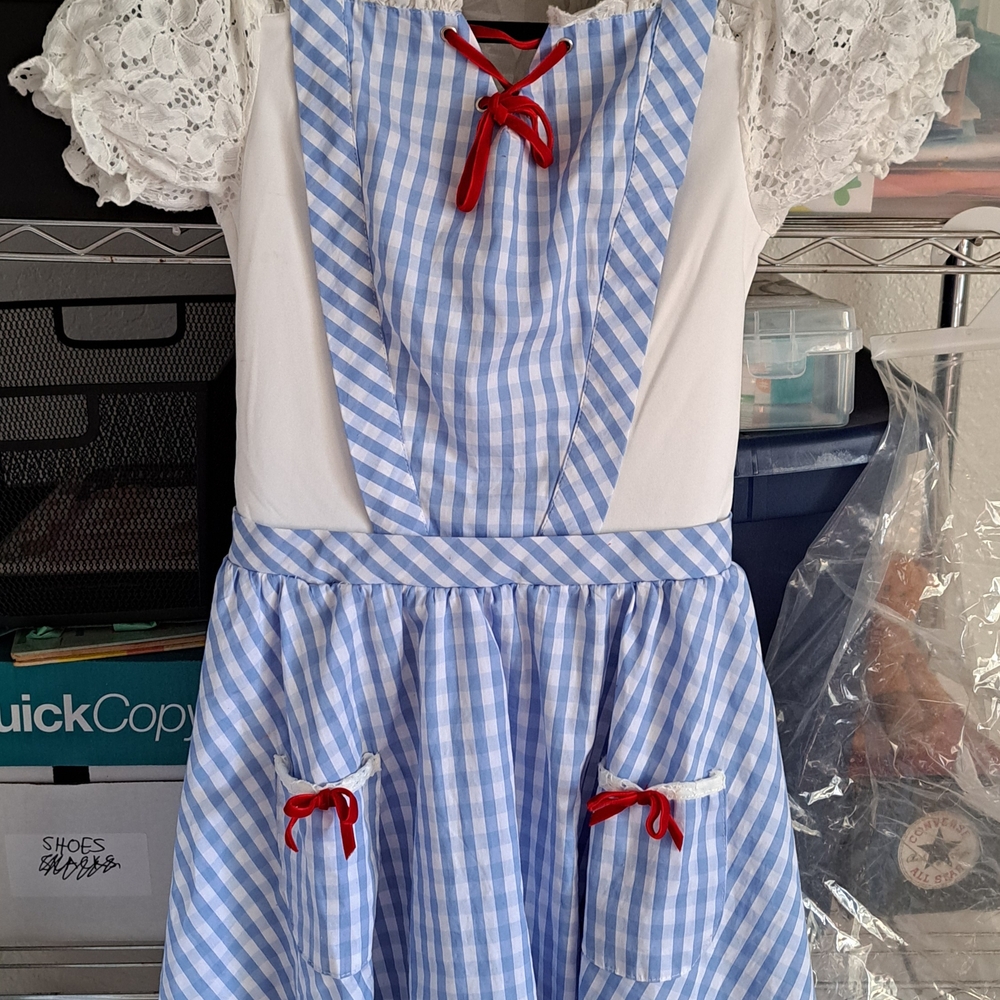 OFFICIAL Dorothy Wizard Of Oz Dress (Adult Small)